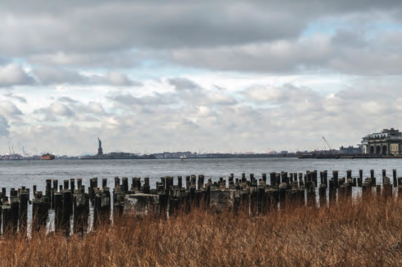 A Life in Landscape